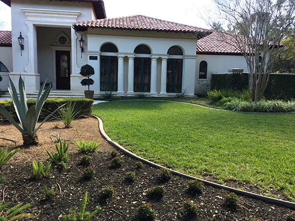 house with green healthy back yard