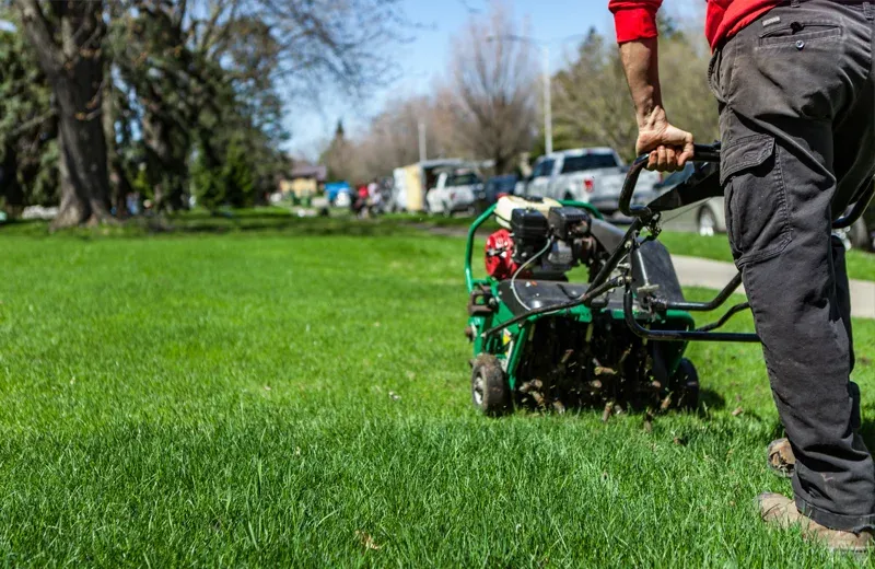 lawn aeration